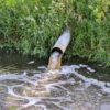 Catastrophe écologique à Libramont