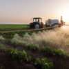 Pesticides et PFAS
