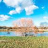 Construire en prairie inondable ?