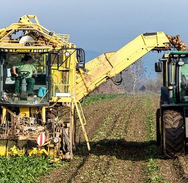 Sécheresse printanière en Deux-Sèvres : nos agriculteurs face à des choix impossibles !