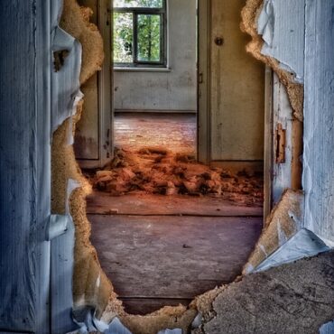 Jardin des Plantes : Le Muséum en Urgence, Ses Bâtiments en Ruine !