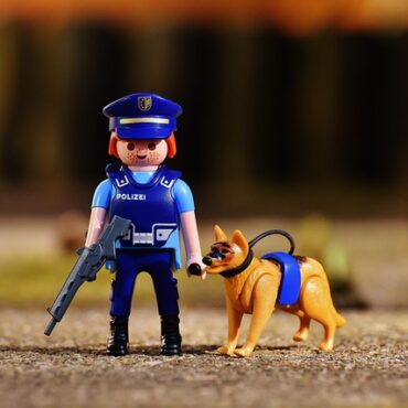 Metz : Deux étudiants lèvent le voile sur les chiens d'assistance judiciaire