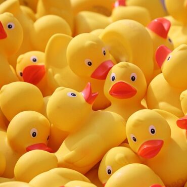 Belle-Isle-en-Terre : La Bretagne court et pédale pour donner du souffle !