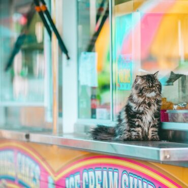 Salon animalier à Limoges : Les activistes montent au créneau !