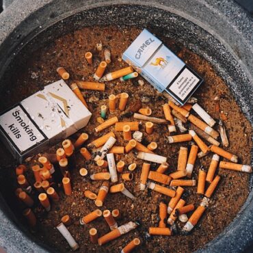 Moustique Tigre : L'Auvergne-Rhône-Alpes sous haute surveillance !