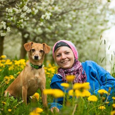 Opération mini-pelle : un fox-terrier sauvé d'une canalisation en Eure !