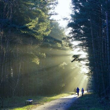 Dreux : la bâche anti-cerfs, c'est terminé ! La mobilisation citoyenne a payé