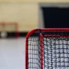 JO 2030 : Lyon en pole position pour accueillir le hockey sur glace !