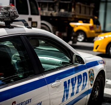 Coup de balai géant aux Marels : Montpellier s'attaque au trafic et aux cabanes illégales !