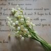 Muguet du 1er mai en Île-de-France : les règles à connaître avant de cueillir ou de vendre