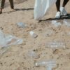 « C&rsquo;est désolant, il y a toujours des déchets » : des mégots aux plastiques, le fléau de la pollution des plages persiste