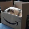 Amazon va créer 3000 emplois près de Lyon dans le cadre d’un investissement massif en France