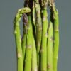 Asperges du Blayais : La récolte est généreuse, mais la vente coince !