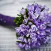 À Montpellier, le muguet se mérite avant le 1er mai : entre tradition et météo capricieuse