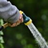 Sécheresse au jardin : les bons réflexes des maraîchers pour garder un potager en forme
