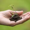 À Sentheim, une vente de plants bio qui fait pousser la solidarité