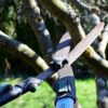 Au cœur du Perche, le couple Déchin ouvre ses 12 jardins pleins de caractère
