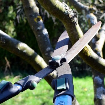 Au cœur du Perche, le couple Déchin ouvre ses 12 jardins pleins de caractère
