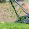 Jardinage de printemps : la tondeuse, un vrai piège pour les hérissons