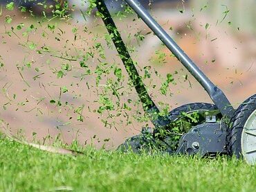 Jardinage de printemps : la tondeuse, un vrai piège pour les hérissons