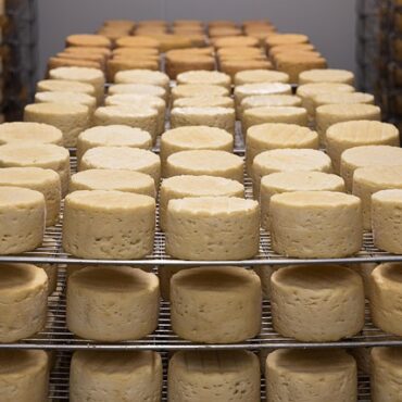 Normandie : Ce camembert star de l'Élysée cherche désespérément du personnel !