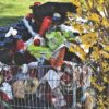 Déchets ménagers : le retour du porte-à-porte divise le Haut-Limousin en Marche