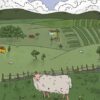 Météo Normande : Un mercredi mitigé, l&rsquo;Ouest sous le soleil !