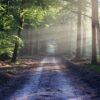 En Creuse, des motards passionnés redonnent vie à nos chemins oubliés !
