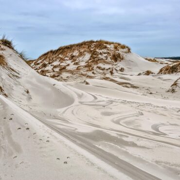 Nos dunes normandes : un patrimoine sauvage à chérir !