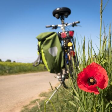 Pont de Normandie : Quand le vélo rime avec danger !