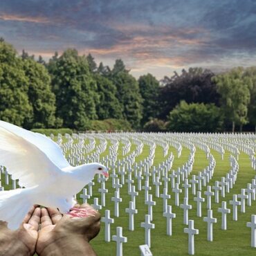 Hartmannswillerkopf : Des milliers de colombes pour un message de paix signé Grand Est !