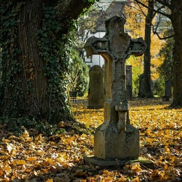 Vénissieux : Le cimetière prend vie, entre histoire et émotion !