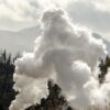 Vosges : à Taintrux, la scierie Ackermann menacée de fermeture définitive