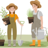 Bretagne : Le Vrai du Faux sur les Saints de Glace pour Votre Jardin !