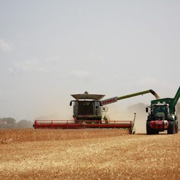 Champs normands sous tension : la facture des engrais s'envole, les agriculteurs s'inquiètent