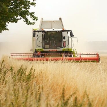 Seine-et-Marne : la bataille des champs contre le géant du stockage de données