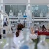 Hantavirus : Pas de panique en Picardie ! Une experte de l&rsquo;UPJV rassure
