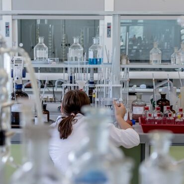 Hantavirus : Pas de panique en Picardie ! Une experte de l'UPJV rassure