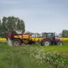 Aigues-Mortes : Le Secret de l&rsquo;Asperge Blanche, l&rsquo;Or Caché Sous le Sable !