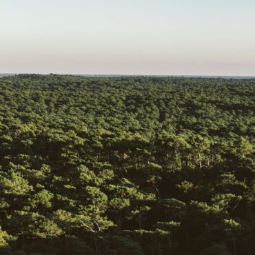 Bassin d’Arcachon : l’alliance choc entre l’État et les écolos contre le pétrole