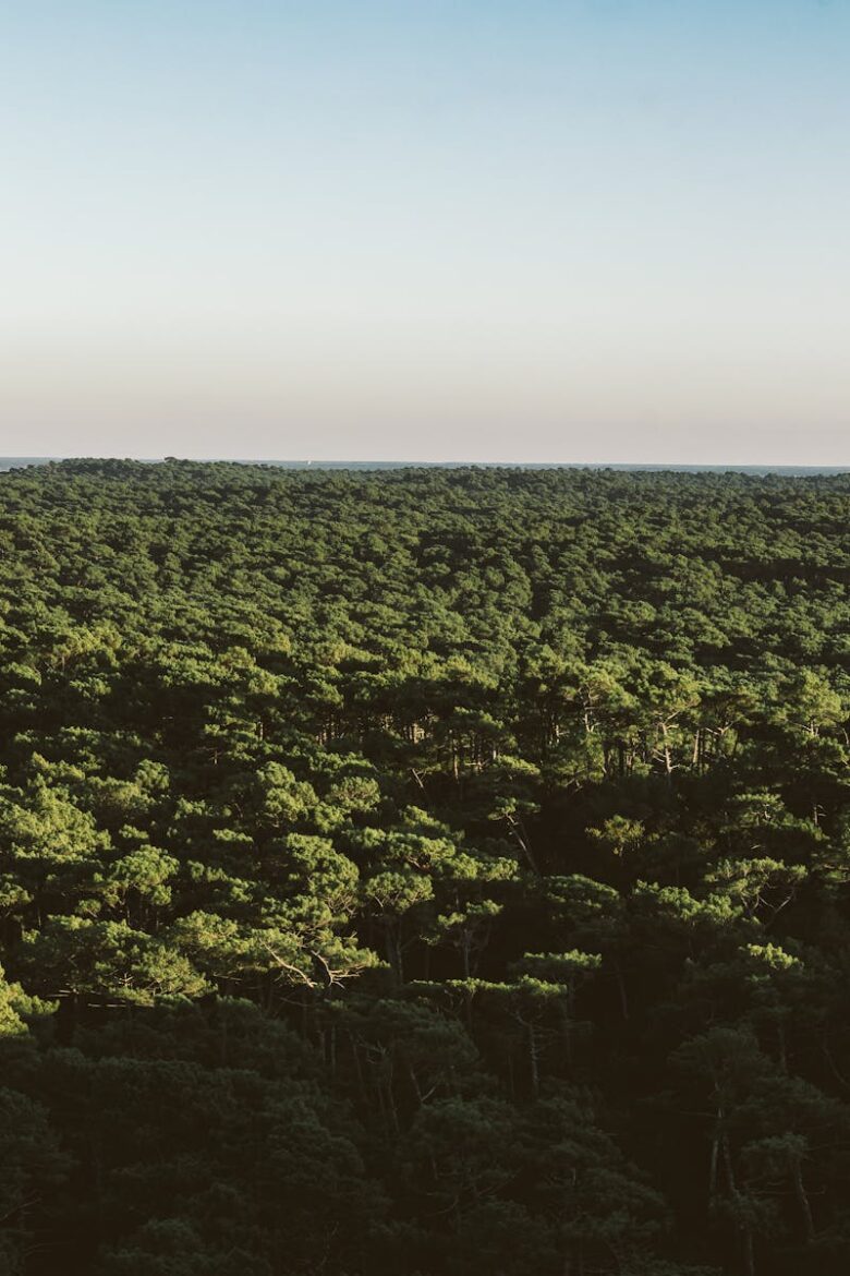Bassin d’Arcachon : l’alliance choc entre l’État et les écolos contre le pétrole
