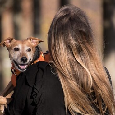 Vétérinaire : la facture s'envole pour nos animaux en Auvergne-Rhône-Alpes !
