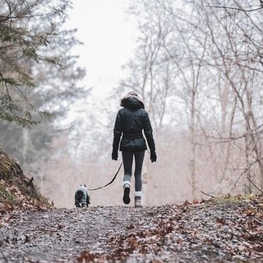 Conques-sur-Orbiel sous le choc : Quatre chiens empoisonnés, le sentier des Capitelles fermé !