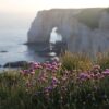 Qualité de l&rsquo;Eau : 12 Plages Normandes Déconseillées à la Baignade !