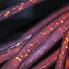 Sous nos côtes bretonnes, l&rsquo;invisible autoroute de l&rsquo;internet mondial !