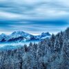 La louve normande sème la discorde dans les Alpes !