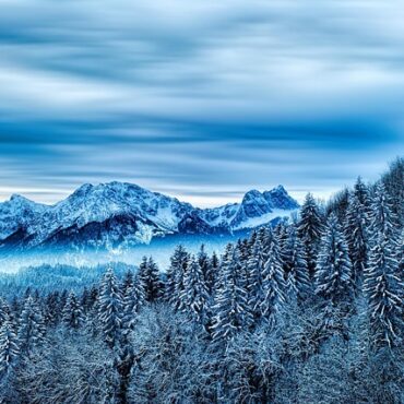 La louve normande sème la discorde dans les Alpes !