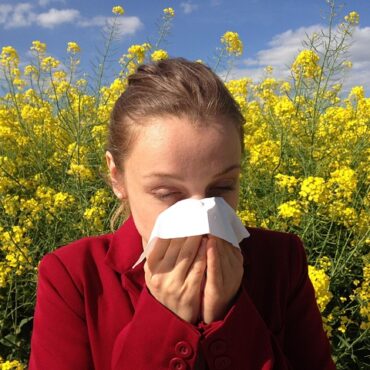 Pollens de graminées : Alerte rouge maximale en Hauts-de-France !