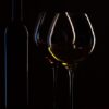 Toulouse : Les Grands Crus s&rsquo;enflamment lors d&rsquo;une vente aux enchères record !