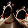 Événement en Sarthe : Le Cirque Arlette Gruss joue à la maison pour la première fois !
